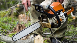 Aus/The Safe Operation of Chainsaws Aus